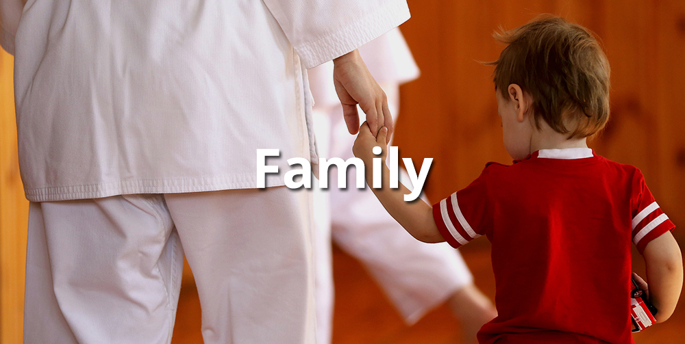family martial arts