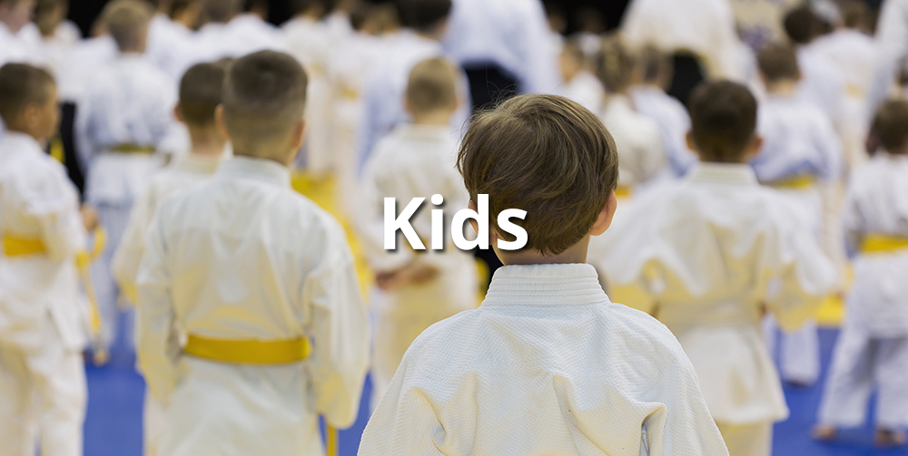 kids martial arts